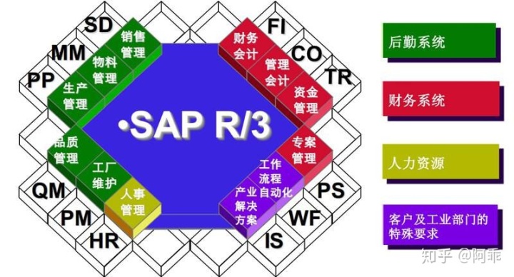 rep和sap区别 rep和gen是什么意思 